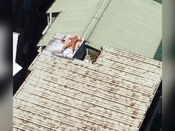 ▲網友驚見大熱天有人在鐵皮屋上曬太陽。（圖／翻攝自爆料公社）