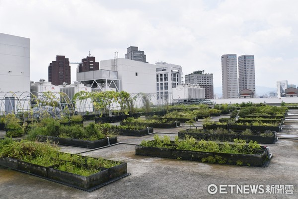 ▲包心菜實驗廚房。（圖／記者陳涵茵攝）