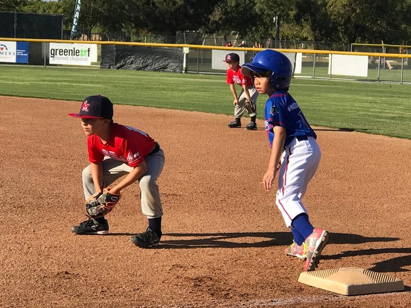 ▲台灣幼兒棒球台灣黑熊。（圖／台灣幼棒協會提供）