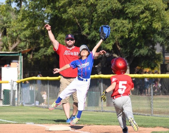 ▲台灣幼兒棒球台灣黑熊。（圖／台灣幼棒協會提供）