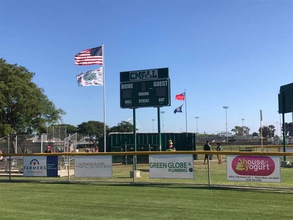 ▲台灣幼兒棒球台灣黑熊。（圖／台灣幼棒協會提供）