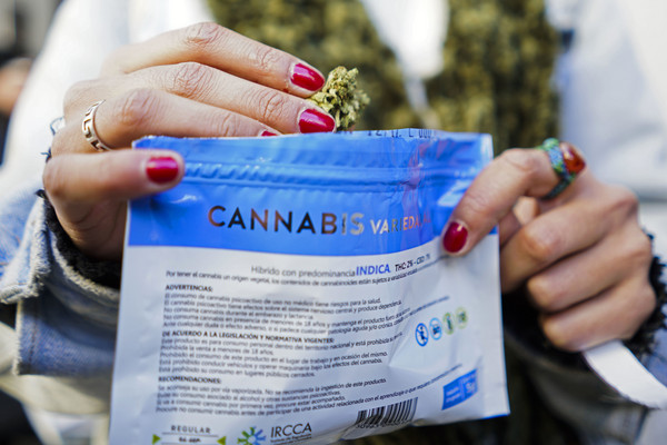 ▲▼烏拉圭成為全球第一個大麻合法化的國家。（圖／美聯社）