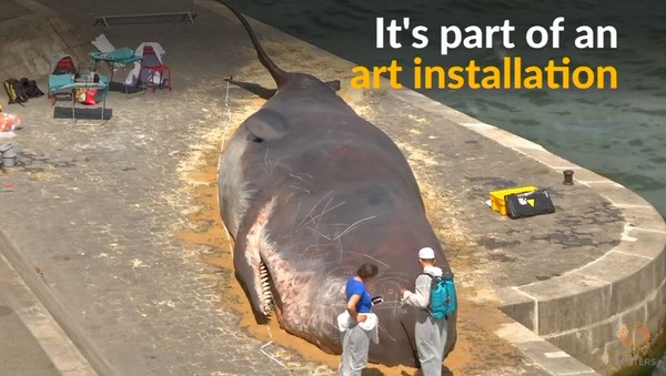 ▲▼ 巴黎環保人士在塞納河畔設置一具抹香鯨雕塑。（圖／翻攝自Youtube／Reuters）