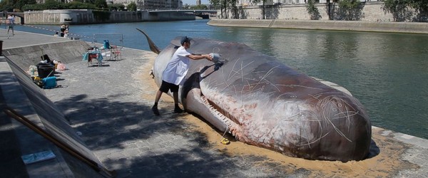 ▲▼ 巴黎環保人士在塞納河畔設置一具抹香鯨雕塑。（圖／美聯社）