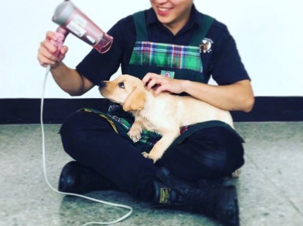 福星洗澎澎模樣超級享受！（圖／翻攝自policedog_fuxing Instagram）