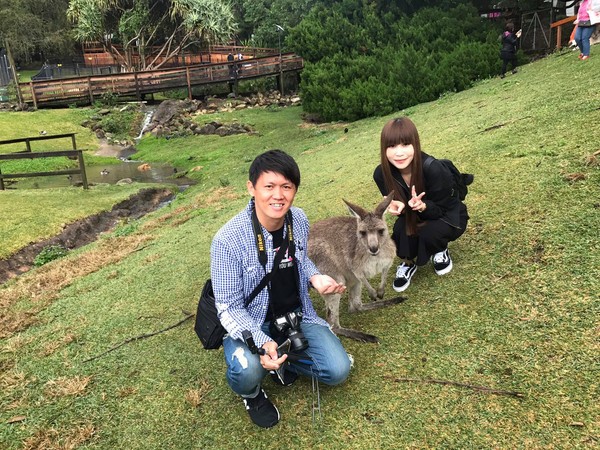 ▲台情侶飛澳洲浪漫求婚。（圖／網友陳慶霖提供，請勿隨意翻拍，以免侵權。）