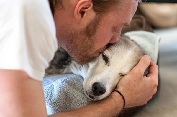 ▲▼再見了，我的女兒...他輕捧癌末狗狗的臉　最後一次親吻牠。（圖／Sara Robertson）