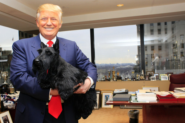 ▲2010年，川普在紐約狗展上與當時的冠軍犬合影。不過，入主白宮後川普並未養狗。(圖／達志影像／美聯社)