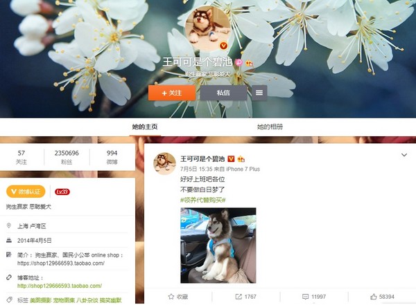 王思聰愛犬王可可微博（圖／翻攝自「王可可是個碧池」微博）