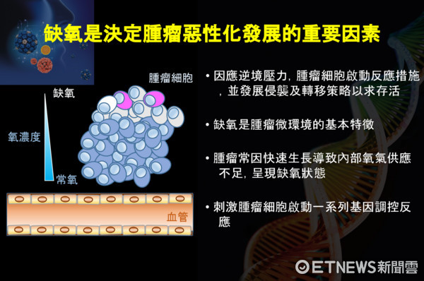 ▲癌細胞「缺氧」就惡化!口腔癌轉移關鍵 台團隊找到了。(圖/北醫附醫提供)