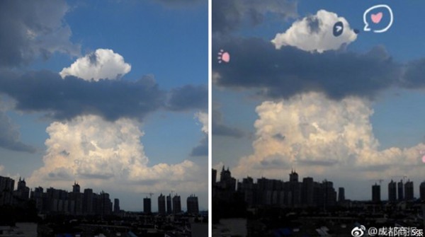 ▲▼有成都網友拍攝到天空中的雲朵，形狀像極貓熊。（圖／翻攝自《新浪資訊》網站）