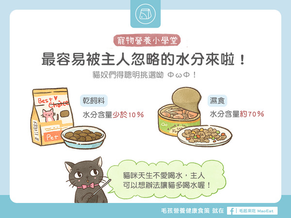 貓奴最容易忽略?乾飼料、濕食水份比一比!(圖/毛起來 MaoUp)
