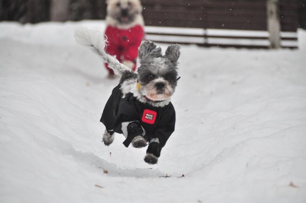 ▲▼雪地中有保暖效果。（圖／記者丁維瑀攝）