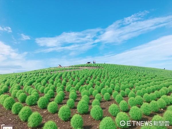 ▲台灣虎航與旅遊業者視察日本茨城、群馬、栃木縣。（圖／記者賴文萱攝）