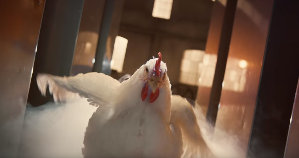 ▲英國肯德基推出「全雞」新廣告，遭觀眾批評噁心。（圖／翻攝自YouTube／KFC UK and Ireland）