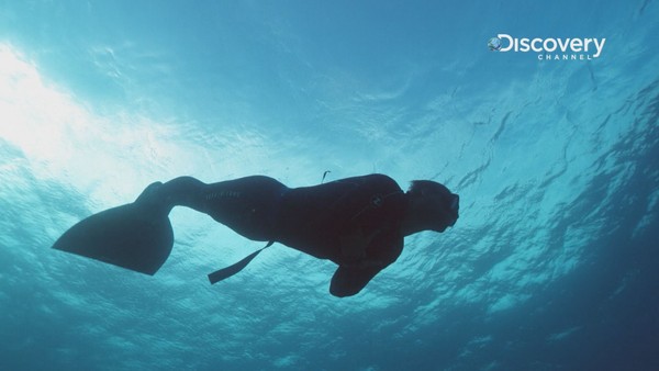 ▲菲爾普斯於低溫的海水中完成人鯊競賽的挑戰。(圖／Discovery提供)