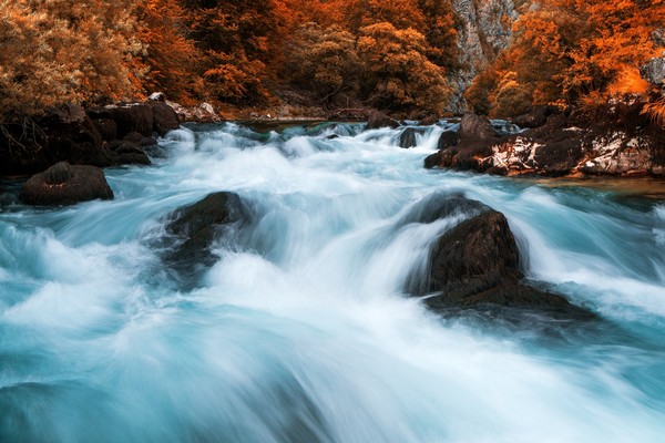 克斯蒙秋詩篇篇。（圖／shutterstock.com）