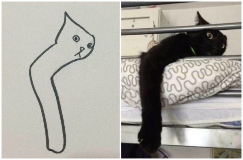 ▲▼巴西插畫家的貓咪作品被刻意說是「中國10歲小學生」的作業。（圖／翻攝自推特，poorlycatdraw）