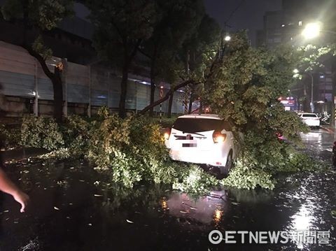 ▲路樹遭強風吹倒壓傷小客車乘客，被醫護人員緊急送醫。（圖／記者陳豐德翻攝）