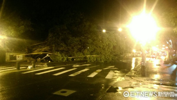 ▲中颱尼莎強風暴雨肆虐，台北市景美國中路樹壓垮學校圍牆，整條道路都被封鎖。(圖／記者楊佩琪翻攝)