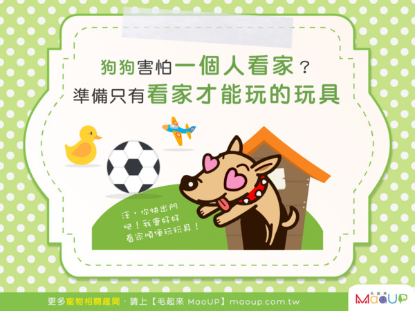 一狗在家心驚驚？準備特別的看家玩具吧！（圖／毛起來 MaoUp）