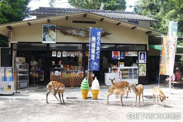 ▲▼奈良。（圖／本報資料照）