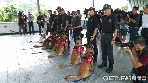 ▲新北市偵爆警犬隊一字排開結訓驗收。（圖／記者陳豐德翻攝）