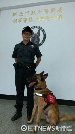 ▲新北市偵爆警犬隊一字排開結訓驗收。（圖／記者陳豐德翻攝）