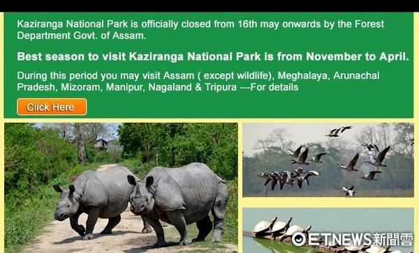 ▲加濟蘭加國家公園以印度犀牛保護區而聞名。（圖／翻攝自Kaziranga National Park官網）