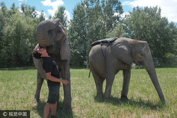 ▲一頭成年大象平均3公尺高、重5000公斤，堪稱最危險的動物之一。（圖／CFP）