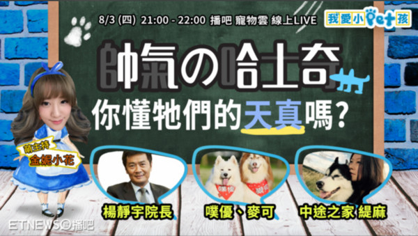 ▲直播／外表冷酷的哈士奇　你懂牠們內心的「火山」嗎？（圖／翻攝自翻滾吧狗骨頭粉絲專頁）