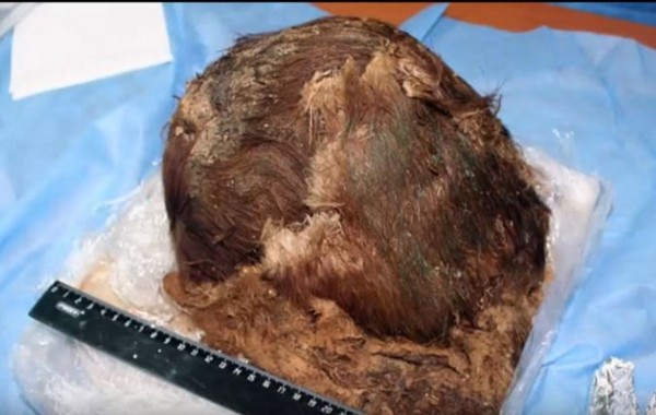 ▲▼俄羅斯西部近日發現女性木乃伊。（圖／翻攝自Green Apple YouTube）