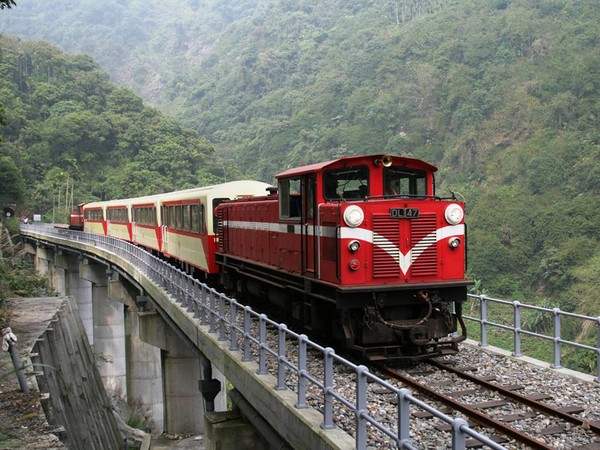 ▲阿里山「森鐵深旅行」。（圖／翻攝自交通部臺灣鐵路管理局 TRA粉絲專頁）