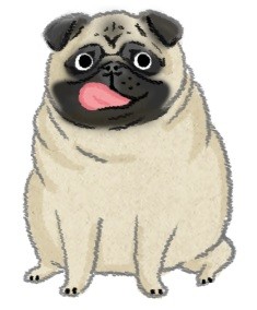 肥胖潛力股？天生易發胖的狗狗品種！（圖／毛起來 MaoUp）