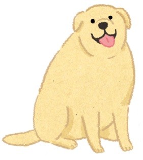 肥胖潛力股？天生易發胖的狗狗品種！（圖／毛起來 MaoUp）