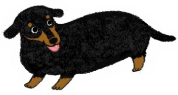 肥胖潛力股？天生易發胖的狗狗品種！（圖／毛起來 MaoUp）