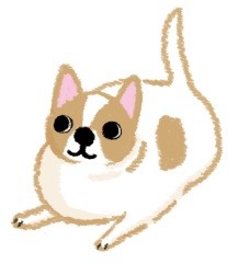 肥胖潛力股？天生易發胖的狗狗品種！（圖／毛起來 MaoUp）