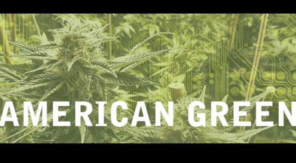 ▲American Green在沙漠中打造大麻天堂。（圖／翻攝自American Green臉書）