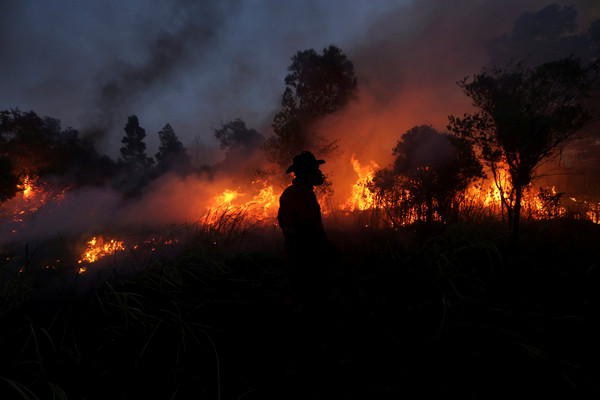 ▲印尼每年都會有林火與煙霾問題。（圖／路透社）