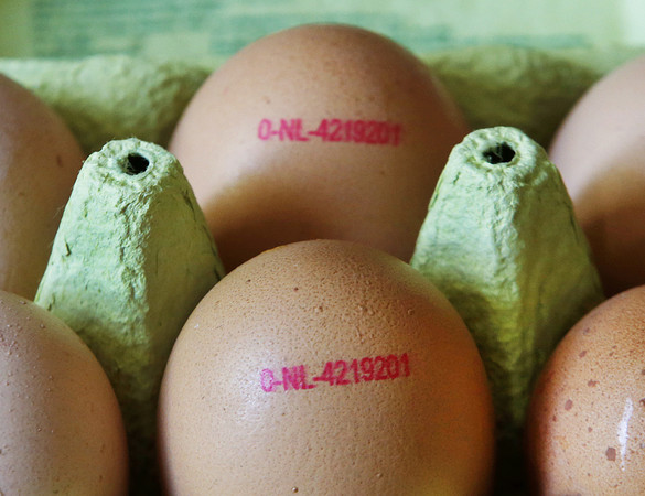 ▲德國與比利時最早發現進口的荷蘭雞蛋受污染後。圖為在德國販售的雞蛋。(圖／達志影像／美聯社）  