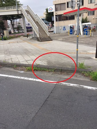 日本網友拍下加油站馬路邊的迷你西瓜，吸引許多人朝聖。（圖／翻攝自日本Twitter「山田」(@DC__8787) ）