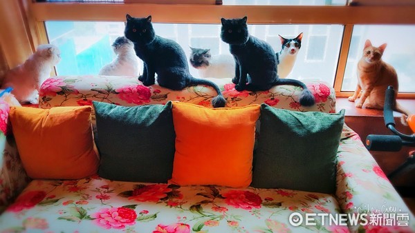 ▲▼爸爸：「父親節沒溫暖」　一拿出零食瞬間身邊兒孫滿堂。（圖／網友Nana Lin提供）