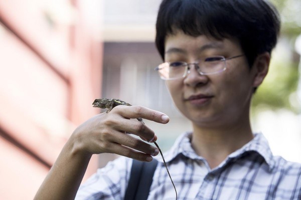 謝海盟從小就愛動物，觀察動物，甚至把自己當作動物，也因此長年來一直稱呼大姨朱天文為「主人」。