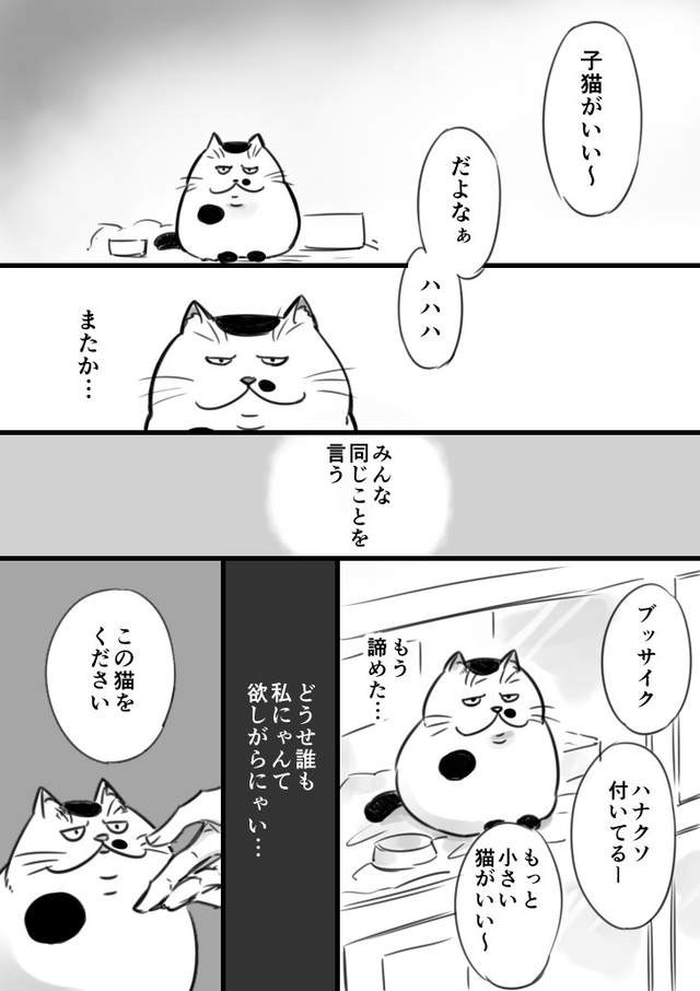 圖／翻攝twitter@sakurai_umi_