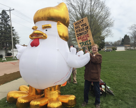 ▲抗議人士藉著「唐老雞」來嘲諷川普是個「膽小鬼」。(圖／達志影像／美聯社)