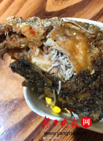 江蘇丹陽網友吃完魚肉，發現魚頭裡全是蛆。（圖／翻攝自揚子晚報微博）