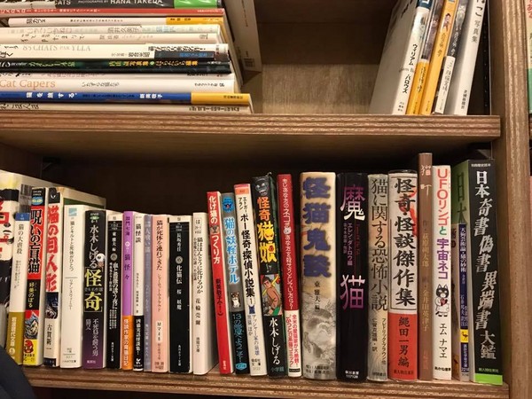 書架上突然有一隻貓！　日本東京貓書店　店員都是浪浪。（圖／翻攝自Cat´s Meow Books臉書）