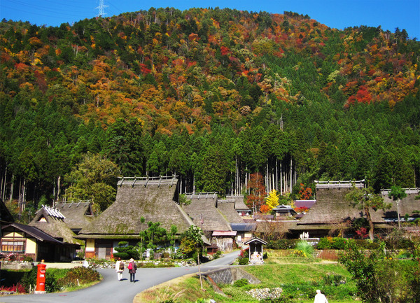 ▲日本京都賞楓。（圖／鳳凰旅行社提供）