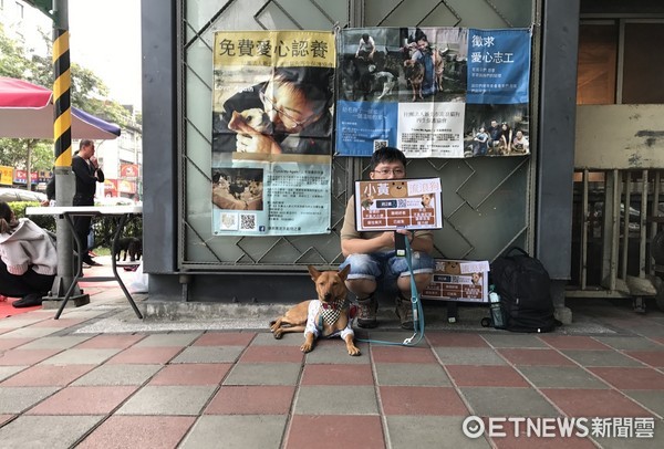 挨家挨戶抓門...流浪小黃只求個家　終等到一扇門為牠而開（圖／娜莎麻授權提供）