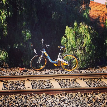 ▲▼無樁單車「oBike」在澳洲墨爾本下場一樣淒慘。（圖／翻攝自twitter／threadpaperscissors）